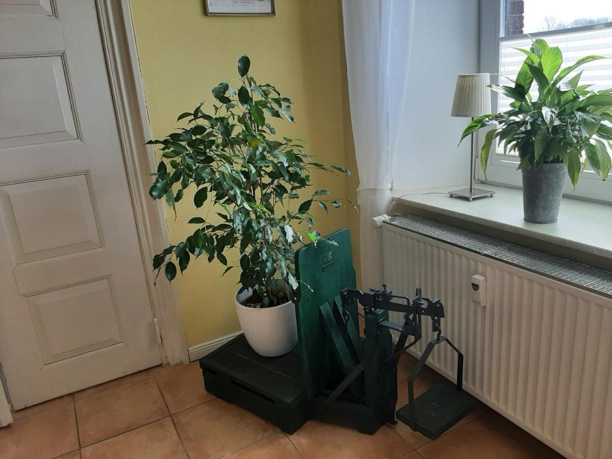 Schoene Ferienwohnung Im Alten Gasthaus In Stoltebuell Exterior photo